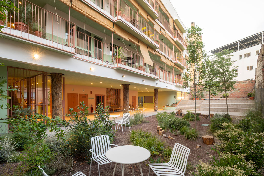 pirita vegetacion agua