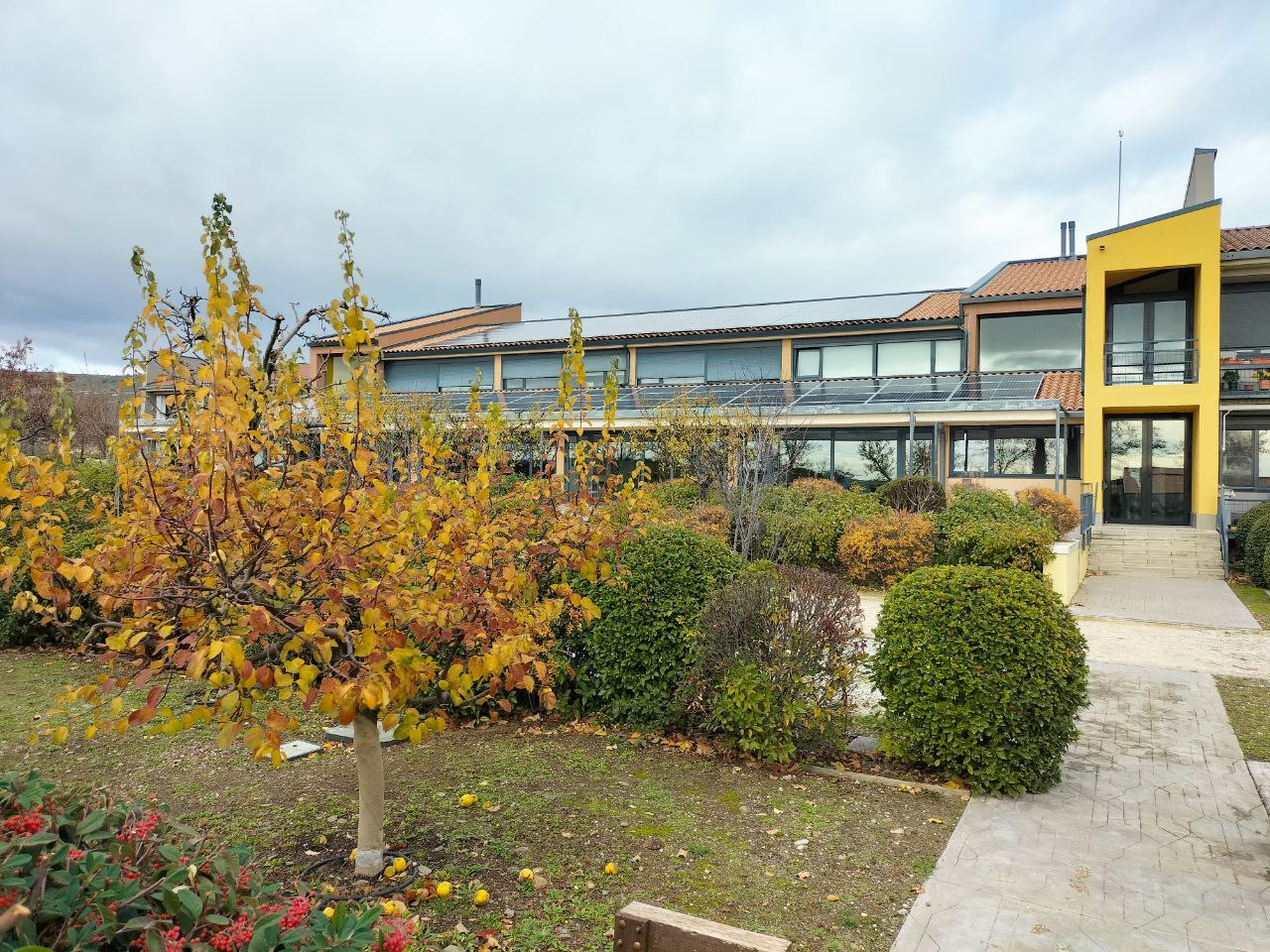 photo 2025 12 05 16 31 01